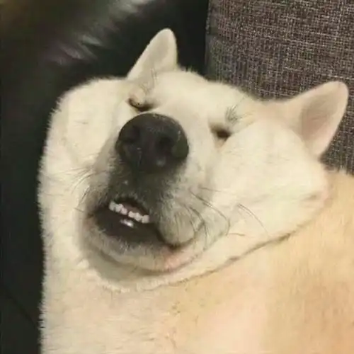 如何推广一个一小时变动一次的二维码

