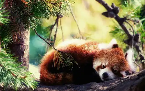 喜欢一个人,是让人迅速成长的捷径情感路前时间
