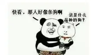 6条笑话吃饭时,妻子因为屁点大的事儿,一直唠叨个不停
