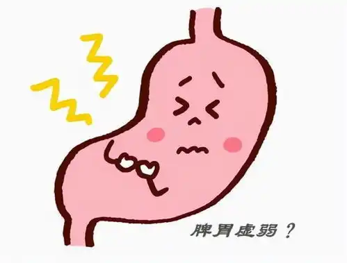 饭后半小时是养胃黄金期,提醒饭后尽量别做3件事,对胃不利
