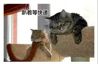 双十一后你的快递碎路上了吗
