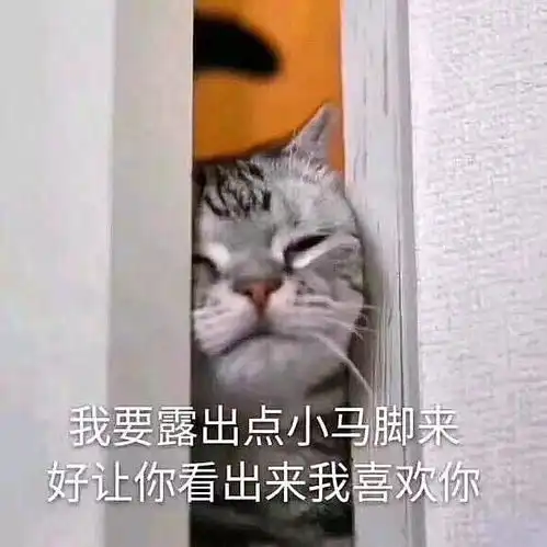 幽默俏皮话哄女生开心配上这些图简直是绝了
