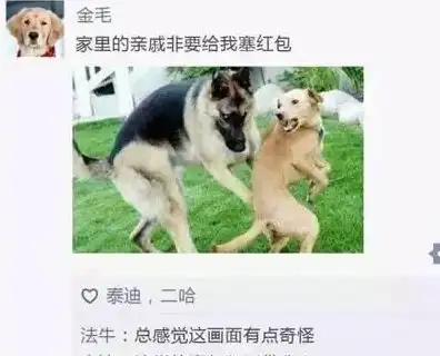假如狗会发朋友圈,它们会发什么二哈的最搞笑,金毛的最暖
