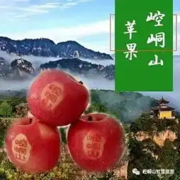 崆峒山在西安搞了个大事情,速来围观...
