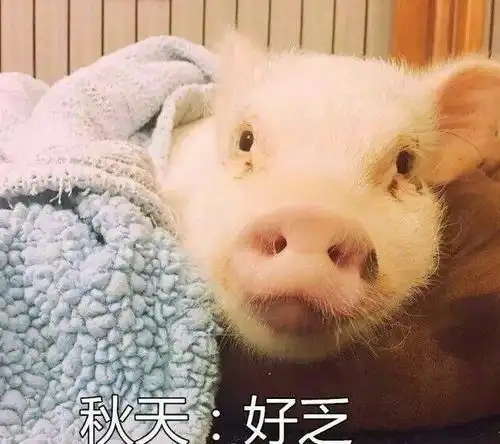 幽默笑话,第一次去女朋友家,场面有点尴尬老爸
