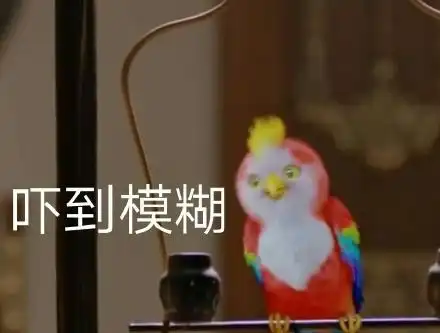 楚乔传宇文玥鹦鹉表情包

