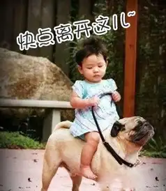 高温保卫战,宝宝夏日避暑攻略
