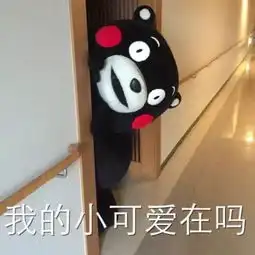 猎人别跑我已经不怕你了

