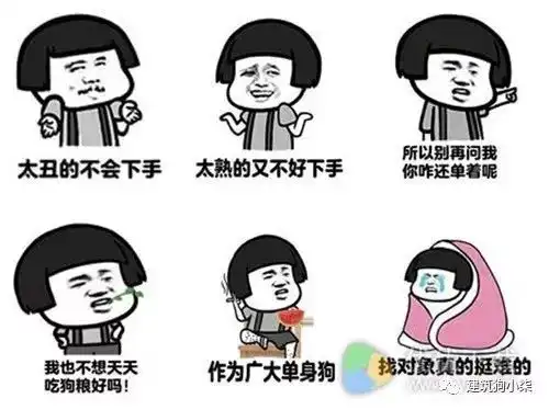 天朝建筑师单身图鉴
