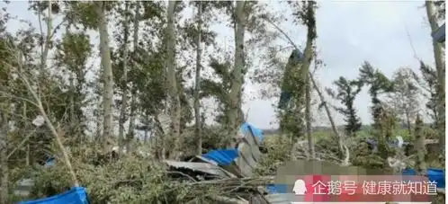 黑龙江乡镇遭龙卷风房盖满天飞,风灾过后,立即展开抢修工作
