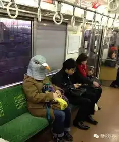 搞笑图片放开那个妹子有什么冲我来
