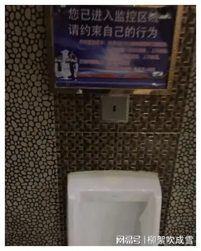 幽默段子美女,对不起,这是国内航班,你可能哭错口儿了吧
