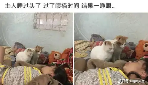 搞笑gif趣图妹子开摩托车挺帅气的,开出了风驰电掣的气势
