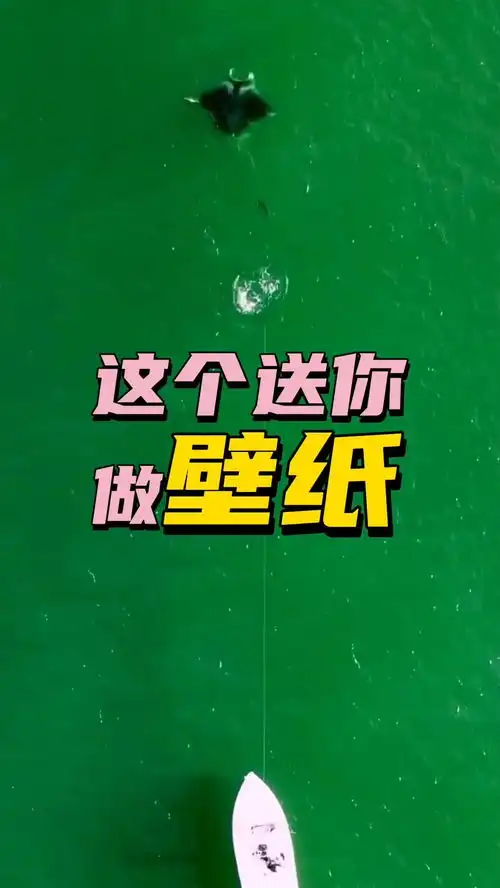 这个上鱼视频,送你做钓鱼路亚壁纸
