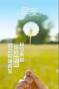 早安心语正能量很火的简单语录,朋友圈早上好正能量图片分享
