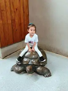 组图贾静雯修杰楷带咘咘逛动物园戴蝴蝶结玩累睡着萌翻众人
