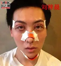 高晓松谈刘梓晨长相逼急了,也能看
