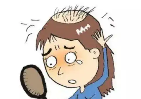 食疗要对症,老中医教你有效治脱发
