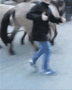 吃完了半盘才发现12块一个,现在跑来得及吗哈哈哈

