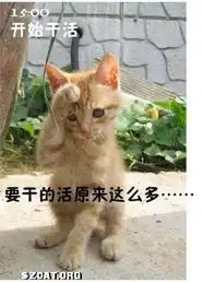 卷卷猫妹妈aacszcatpowereddiscuz
