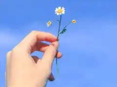 下雨天搞笑文案带图片雨天可以发的幽默句子
