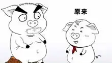 猪屁登正能量搞笑视频搞笑高清正版视频在线观看
