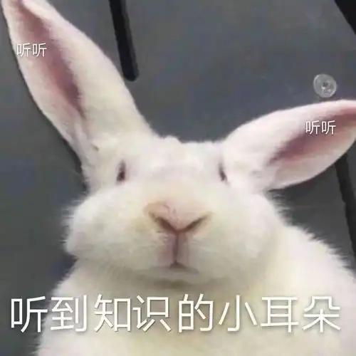战拖大作战再见吧拖拖拖拖延症
