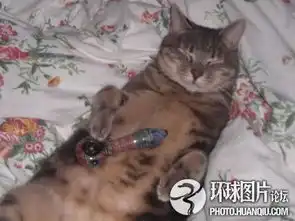 爆笑那些抽烟嗜酒的动物们
