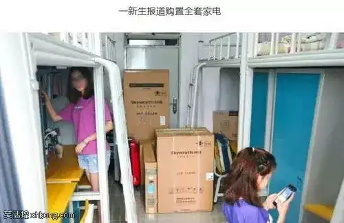 搞笑图片老板的猫女郎好可爱,多少钱领回家
