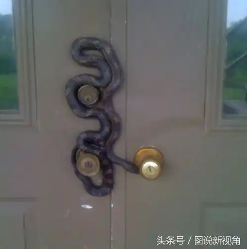 一组倒霉又有趣的画面,看了让人哭笑不得
