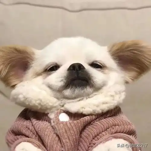 那些治愈我的句子
