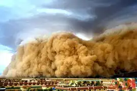 2010年的难忘瞬间
