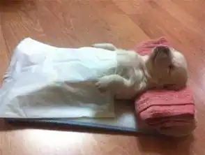 好困啊
