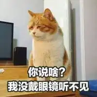 搞笑的橘猫头像超好看的可爱橘色猫咪微信头像
