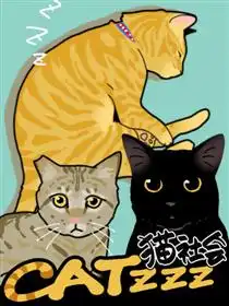 catzzz猫社会
