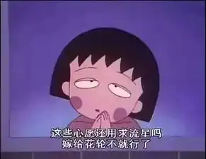 再见了,樱桃小丸子
