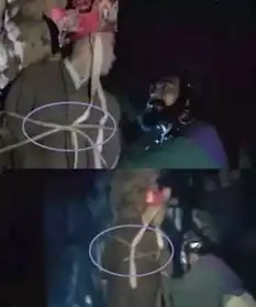 搞笑穿帮吻戏旁边却是二哈,导演睡着了这么粗心笑坏我了
