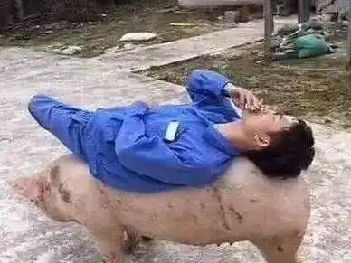 搞笑图片幽默段子笑话你别出来吓人啊,我心脏不好
