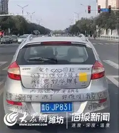 潍坊一奇瑞车尾惊现征婚启事,幽默语录让人忍俊不禁
