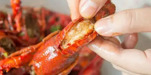 啤酒小龙虾今晚不吃不准走
