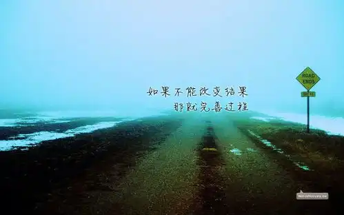 去做自己觉得正确的应该做的,其余交给天意
