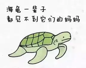 30个滑稽呆萌的动物冷知识,大人孩子一起涨姿势吧
