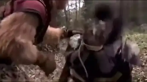 西游记悟空太搞笑了,嫌弃八戒长得丑,硬逼他从野猪变成家猪
