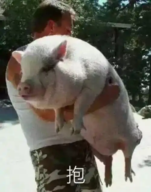 娱乐圈模范情侣居然是这样他们秀恩爱的方式把其他情侣秒成渣渣

