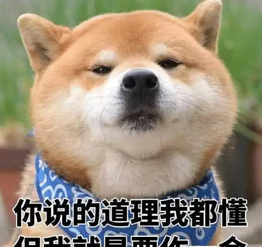 现在的学生胆子这么大了吗这么薄的裤子也好意思穿出门哈哈哈哈
