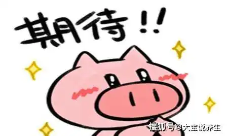 幽默笑话最近公司接了一个新项目,女老板安排俺留下来陪她加班
