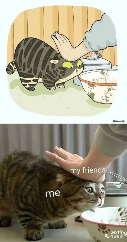 爆笑沙雕猫画大赏,每一款都可爱到犯规
