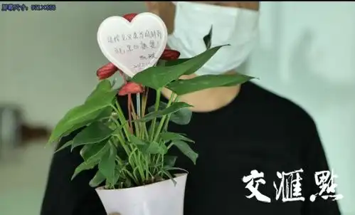 全网为他点赞南京胖哥好友他的车没被撞,他下车是见义勇为
