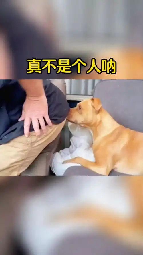 这两天这个电梯战神很火啊搞笑配音搞笑视频专治不开心
