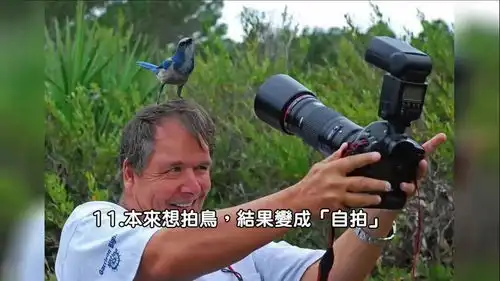 动物世界是怎么拍出来的
